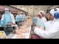 Sustainability in the poultry industry