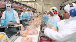 Sustainability in the poultry industry