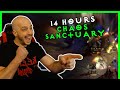 Pulling High Runes from Chaos Sanctuary for 14 HOURS - Diablo 2 Resurrected