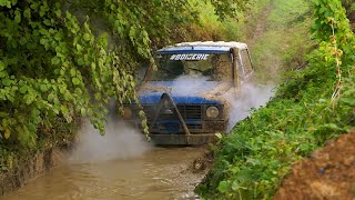 Off-Road 4x4 ► Les sangliers sont de sortie #BOISERIE 💩 Le Cateau 2024