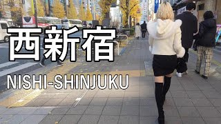 【4K】新宿なのに静かな西新宿をクリスマスイヴに散歩 Christmas-Eve Walking in Nishi-Shinjuku of Tokyo, quiet town in Shinjuku