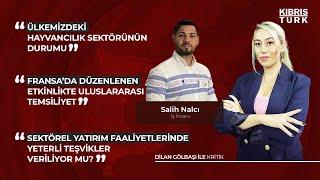 Dilan Gölbaşı İle Kritik | Konuklar: Salih Nalcı (İş İnsanı)