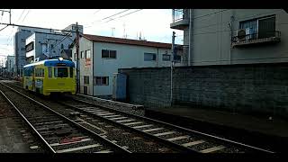 阪堺モ501形504号 天王寺駅前行き 細井川停留場発着