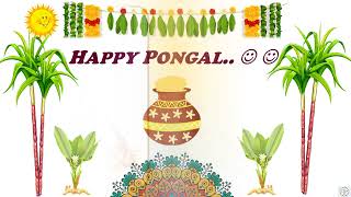 Happy Pongal |Happy Pongal Whatsapp Status Video |Happy Pongal Whatsapp Status|Happy Pongal 2024