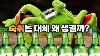 술 많이 마시면 다음날 숙취가 생기는 이유