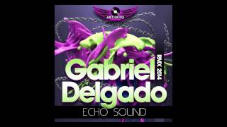 Gabriel Delgado - Echo Sound (Locco Lovers 2014 Remix) PREMIERA12.06.2014 on Beatport