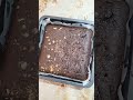 brownie recipe order place 9629655278 sathyamangalam erode district