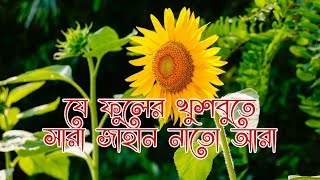 যে ফুলের খুশবুতে সারা জাহান নাতো য়ারা যে ফুলের আগমনে আলো পেল আলো য়ারা