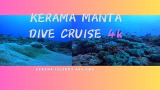 [scuba diving]Japan okinawa kerama island Manta dive cruise４k　慶良間諸島マンタダイブクルーズ