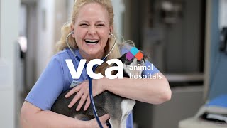 VCA Animal Health -  Tucson Arizona