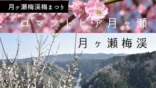 月ヶ瀬梅渓梅まつり □ ロマントピア月ヶ瀬 / 月ヶ瀬梅渓