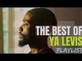 BEST OF YA LEVIS 2025