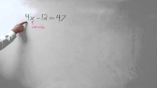 Coefficients, Variables, and Constants