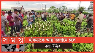 দিনাজপুরে জমজমাট কলার পাইকারি হাট! | Banana Market | Dinajpur News | Somoy TV