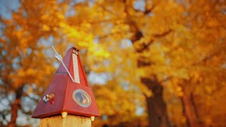 Three Hours of Autumn and a Metronome of Autumn Colors - Metronome  Music for Studying and Work