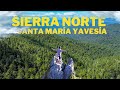 The beautiful forests of the Sierra Norte of Oaxaca - Santa María Yavesía.