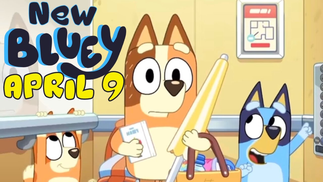 Bluey Episodes New Bluey Episodes