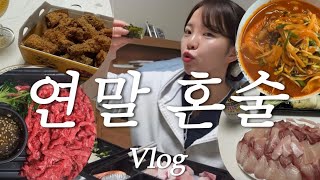 [vlog] 방어에 미치고 나홀로 연말 파티 달려 🍷🤭 혼술 먹방브이로그(육회/대방어/비비큐/황금올리브/김장김치/소떡소떡/인생 김치찌개)