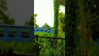 ශ්‍රී ලංකා expires train සීඝ්‍රග්‍රාමි කෝච්චි😲#shorst#shorstviral video#shorstfeed#subscribe like ❤️