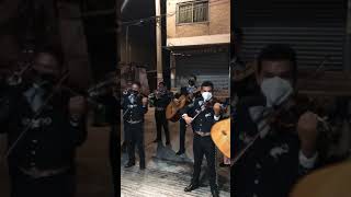 El cobarde - Mariachi Juvenil Real de México