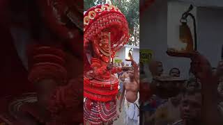 Sree Aadimooliyadan Theyyam | Chala Puthiyandi Kaavu | Kannur | Kerala