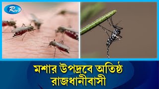 রাজধানীতে বেড়েছে মশার উপদ্রব | Mosquito In Dhaka | Rtv News