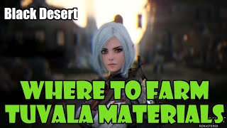 [Black Desert] Where to Farm Time Filled Black Stones, Refined Magical Black Stones, and Tuvala Ore!