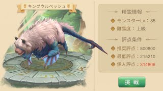 [カリツの伝説]ヒイロの試練 上級 キングウルペッシュ 魔道士