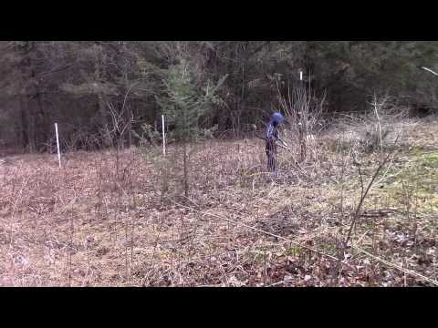 Hanging Electric Fence for Pastured Pigs Hanging Electric Fence for Pastured Pigs