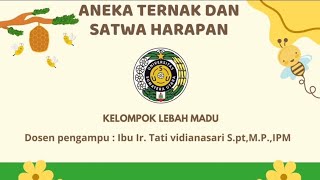 TUGAS ANEKA TERNAK & SATWA HARAPAN  | BUDIDAYA TERNAK LEBAH MADU