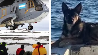 People and Animals Who Were Stranded on Islands