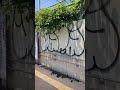 東京で発見したタギングやグラフィティtagging and graffiti in tokyo