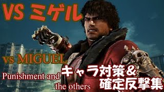 vsミゲル　確反・割り込みリスト ; vs MIGUEL PUNISHMENT LIST