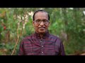 ആലിലധ്യാനം dhanyamee jeevitham episode 972 p r nathan