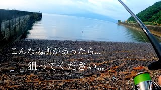 【神回】ゴロタ浜から狙う“幻の”超高級魚釣り　奇跡の爆釣編〜