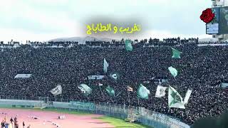 العاصمة تطالب الإستقلال...💚 مدرج الرعب 🦅💚 ديما راجا 💚🦅🦅🦅