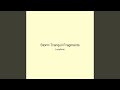 Storm Tranquil Fragments