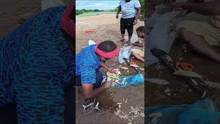 நமது சப்ஸ்கிரைபர் உடன் ஒரு நாள் மீன் வறுவல் entertainment fishing video #shorts  #fishing #adventure