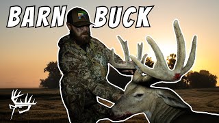 BARN BUCK!!! Velvet North Dakota Whitetail