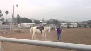 Logan's first horse riding lesson