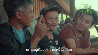 พันธุ์ไทย EP.4 พันธุ์ \