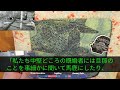 【感動する話】職場復帰した未亡人の私に入社3ヶ月のコネ入社の男専務「縁起が悪いバツイチなど俺の結婚式には呼ばんｗｗ」→後日、専務がこの世の終わりみたいな声で電話してきて「結婚式に誰も来ないんだ