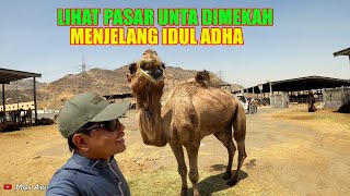 SIDAK KEPASAR UNTA TERBESAR DIKOTA MAKKAH MENJELANG HARI RAYA KURBAN