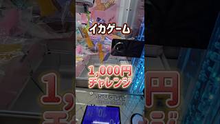 【大量GET】クレーンゲームで1,000円分イカを取ってみた！ #クレーンゲーム #イカゲーム #ufoキャッチャー