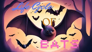 The Bizarre Life Cycle of Bats in the Wild (2024)