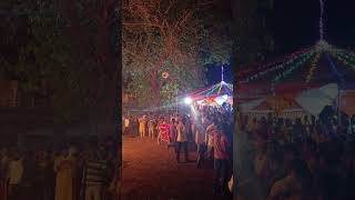 shimga Mahotsav Dapoli #ytshorts #shortvideo #youtubeshorts #shimga #holi