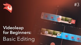 Enlight Videoleap for Beginners: Basic Editing