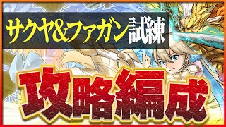 【試練ダンジョン】サクヤとファガン試練進化用編成！ノルディスループで簡単攻略！【パズドラ】