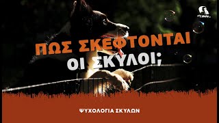 ΨΥΧΟΛΟΓΙΑ ΣΚΥΛΩΝ #7 - Πώς σκέφτονται οι σκύλοι; - ΜΙΛΑ ΣΤΟ ΣΚΥΛΟ ΣΟΥ