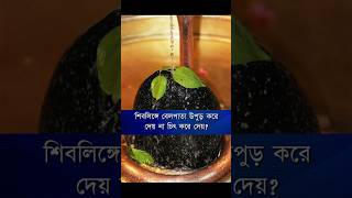 শিবলিঙ্গে বেলপাতা উপুড় করে দেয় না চিৎ করে? ৯০% লোক ভুল করে 🔥#শিবরাত্রি #shivratri #harharmahadev